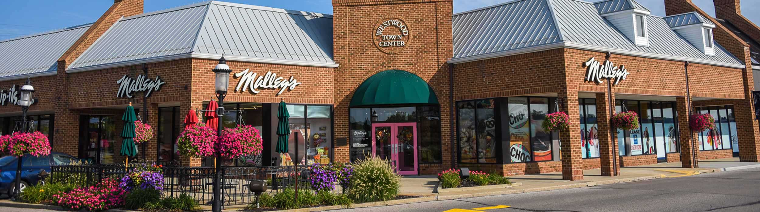 Zeisler Properties Shopping Center Development and Management